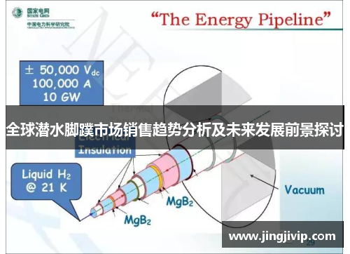 全球潜水脚蹼市场销售趋势分析及未来发展前景探讨